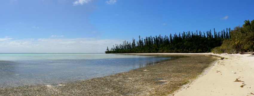 83- La baie d'Oro, maree basse 